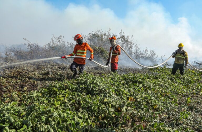 Bombeiros de MT extinguem um incêndio florestal e combatem outros 16 nesta segunda-feira (19)