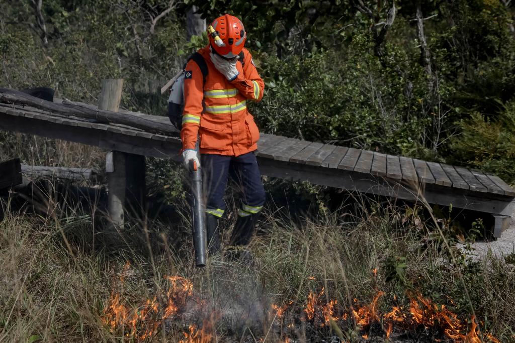 Corpo de Bombeiros extingue seis incêndios florestais e combate sete neste domingo (17)