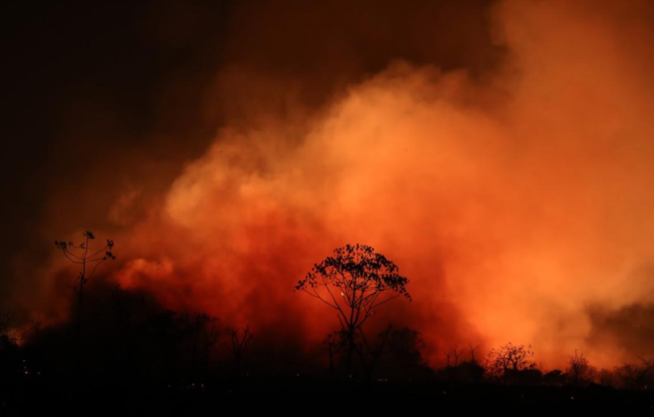 Fogo atinge imóveis, animais e já destruiu quase 40% do parque de Chapada