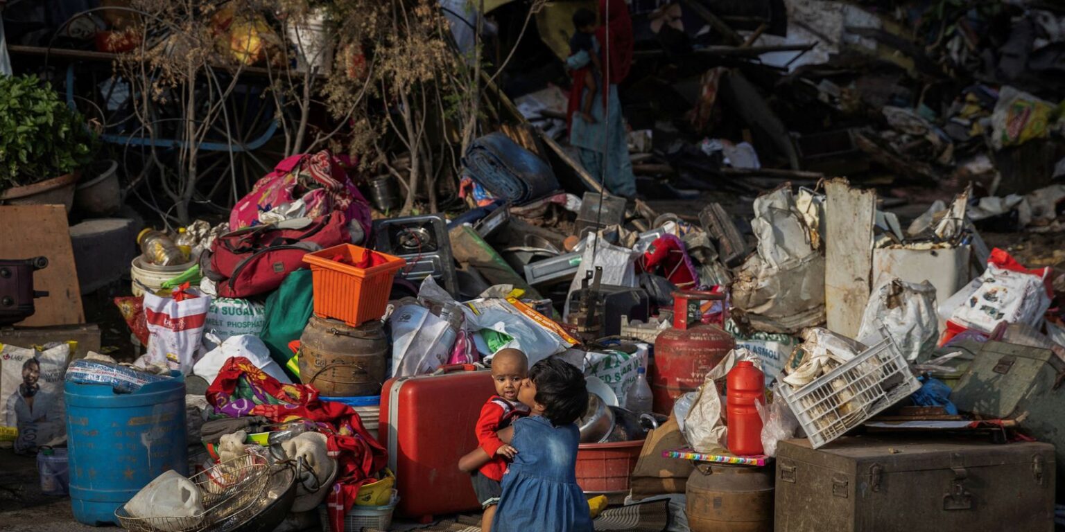 G20: depois de favelas e macacos, Nova Delhi remove cães das ruas