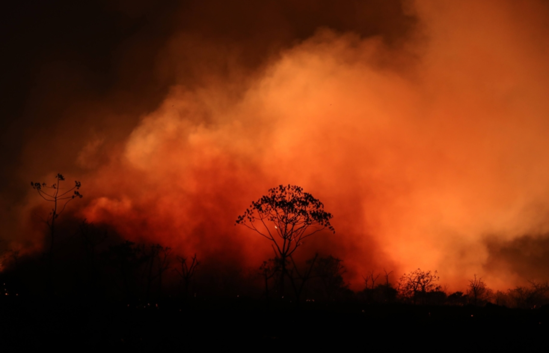 Incêndio no Parque de Chapada completa um mês e já destruiu mais de 10 mil hectares
