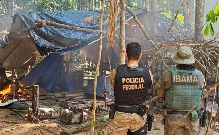Operação Fortuna: PF e Ibama intensificam combate ao garimpo ilegal em terras indígenas de Rondônia e Mato Grosso