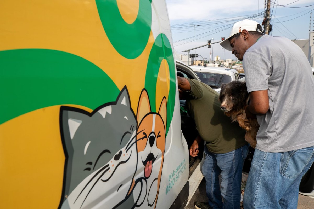 Prefeitura de Cuiabá resgata oito animais em condição crítica após denúncia de maus-tratos