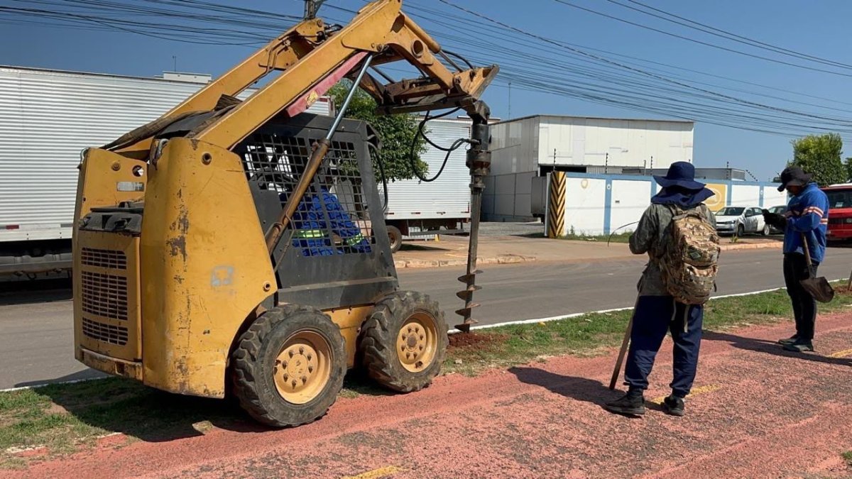 Prefeitura de Cuiabá planta 300 árvores na Avenida V2 durante terceira etapa do Projeto Verde Ação