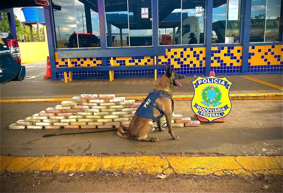 PRF apreende 70 quilos de cocaína na BR-364 e prende dois suspeitos de tráfico em Rondonópolis
