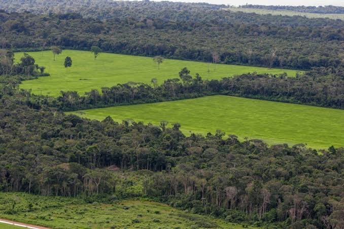Mato Grosso e mais dois estados enfrentam condenações de R$ 893 milhões por danos ambientais na Amazônia