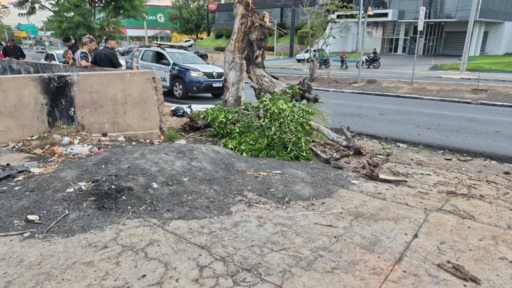 Motociclista morre ao colidir com árvore na Avenida Miguel Sutil em Cuiabá