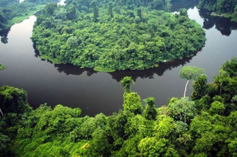 MPF solicita anulação de acordo que transfere áreas do Parque Estadual Cristalino II a empresas privadas em Mato Grosso