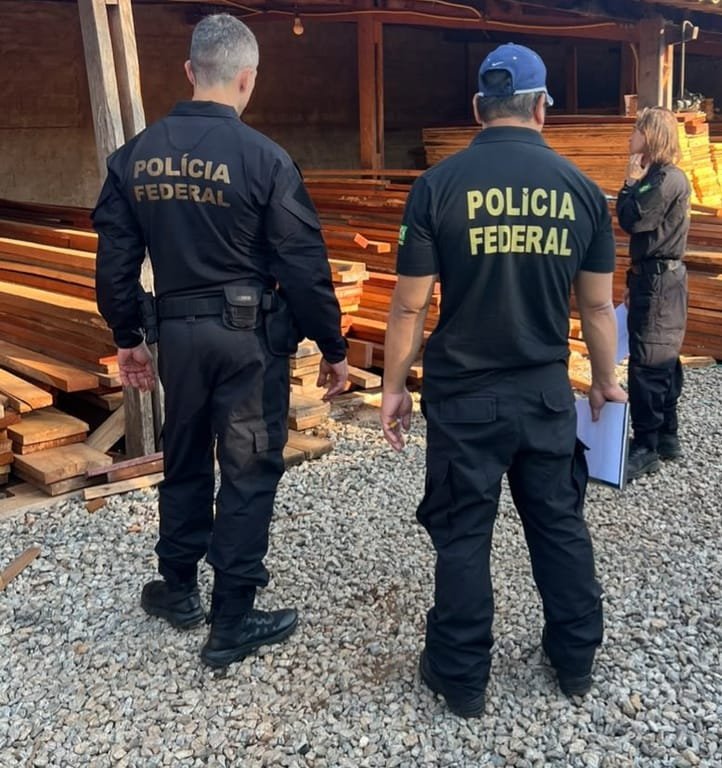 Operação Ligna Ficta: PF desmantel esquema nacional de tráfico de madeira com apreensão em Mato Grosso