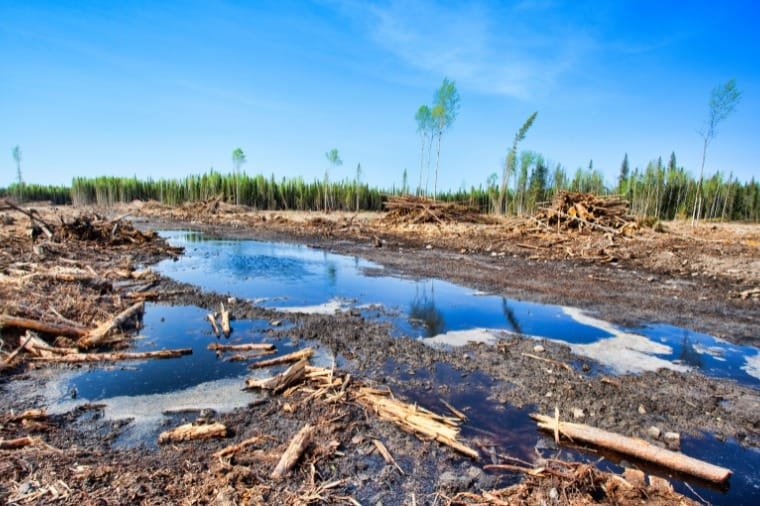 Fazendeiro é condenado a prisão e indenização de R$ 3,3 milhões por destruição ambiental em Mato Grosso