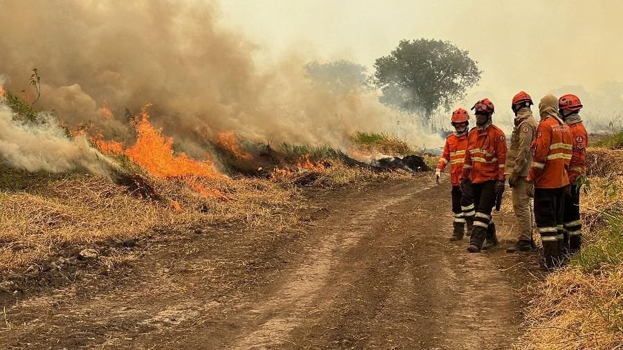 Bombeiros combatem 12 incêndios florestais simultâneos em Mato Grosso