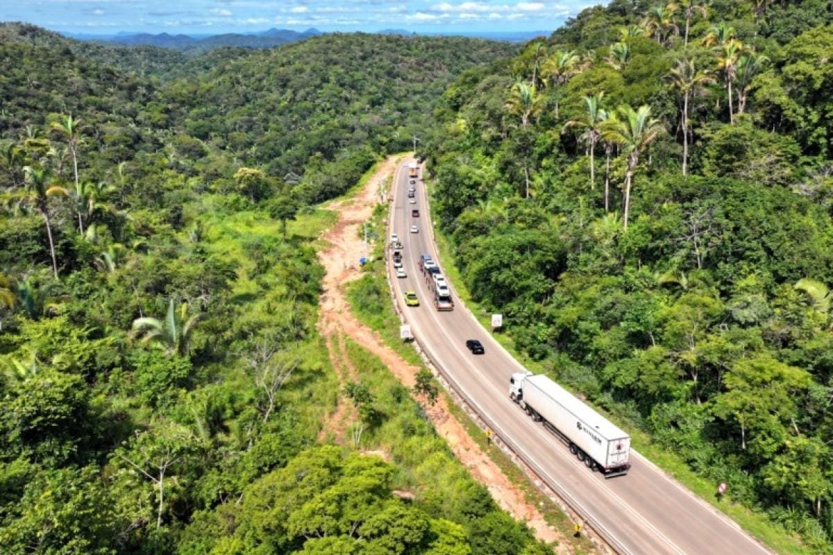 Serra de São Vicente opera em Pare e Siga de 24 a 28 de agosto para poda de árvores