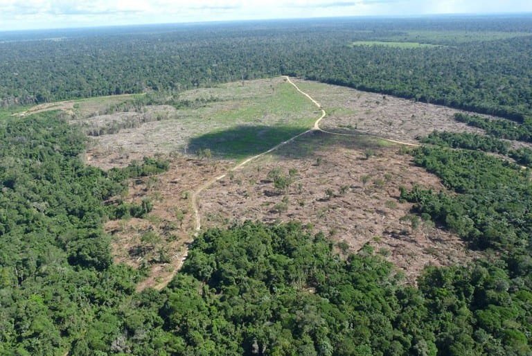Fazendeiro é condenado a recuperar 145 hectares desmatados em terra indígena Marãiwatsédé
