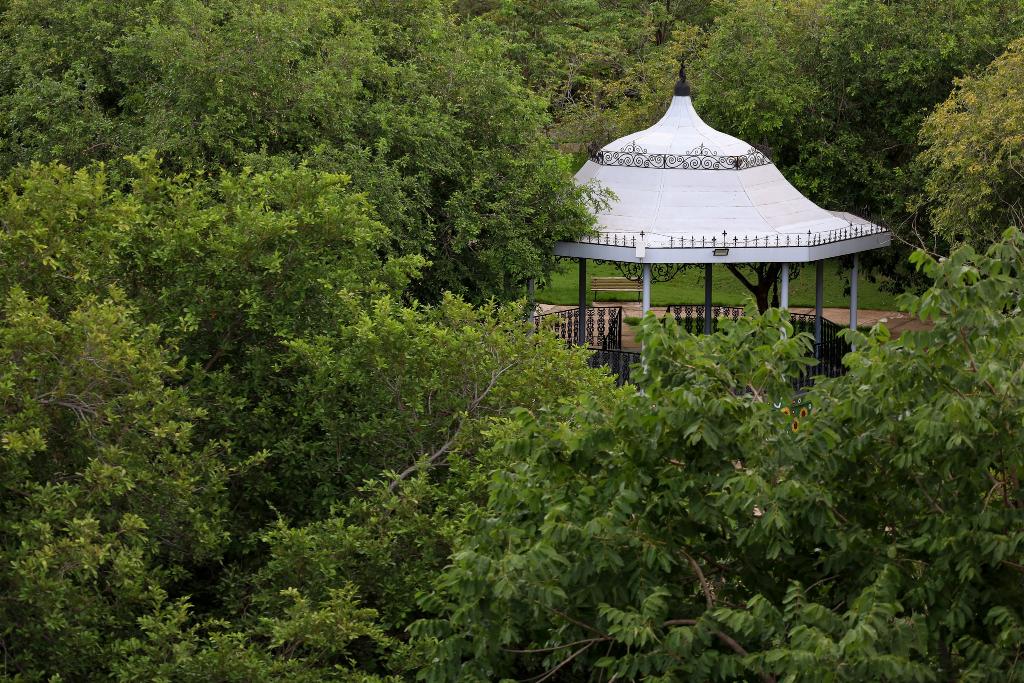 Sema abre inscrições para Trilha Interpretativa de Flora no Parque Mãe Bonifácia