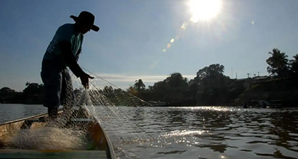 STF fará audiência de conciliação sobre proibição de pesca profissional em Mato Grosso
