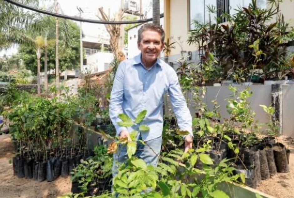 TCE distribui 2 mil mudas e faz alerta sobre queimadas em Mato Grosso